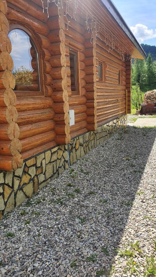 קאמפולונג מולדובנסק Cabana Alesia, Relaxare La Poalele Raraului מראה חיצוני תמונה