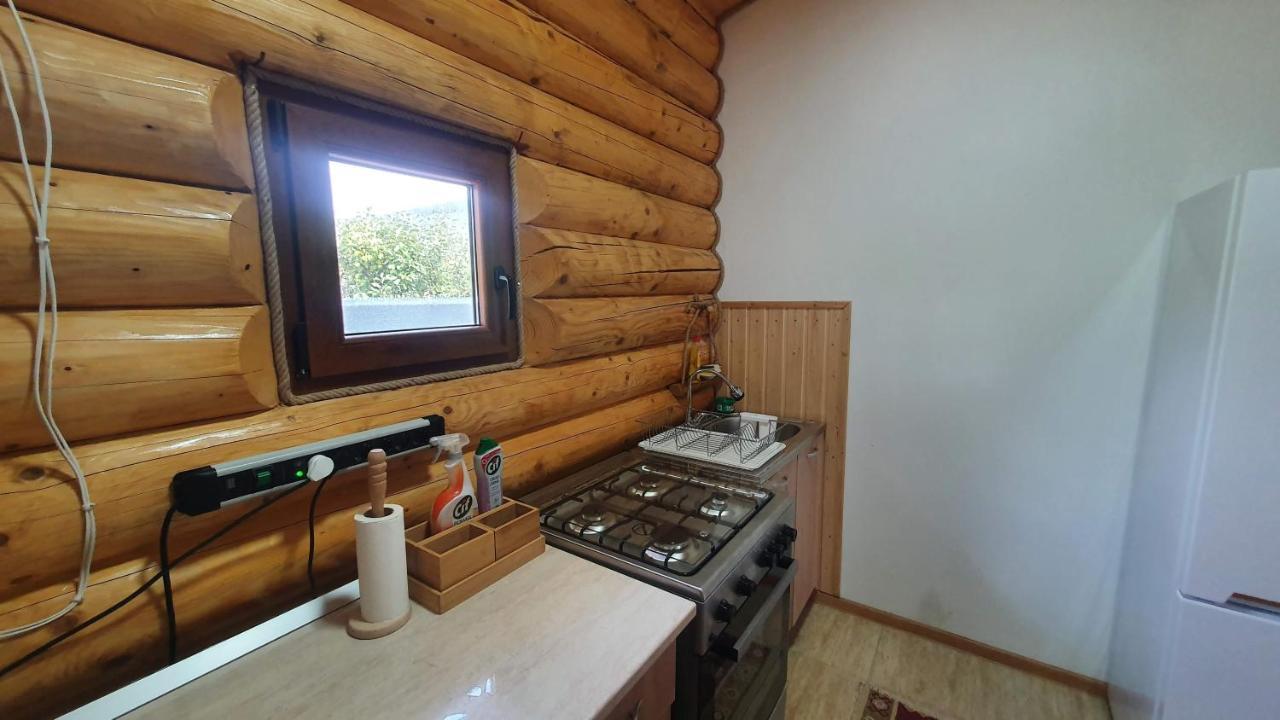 קאמפולונג מולדובנסק Cabana Alesia, Relaxare La Poalele Raraului מראה חיצוני תמונה
