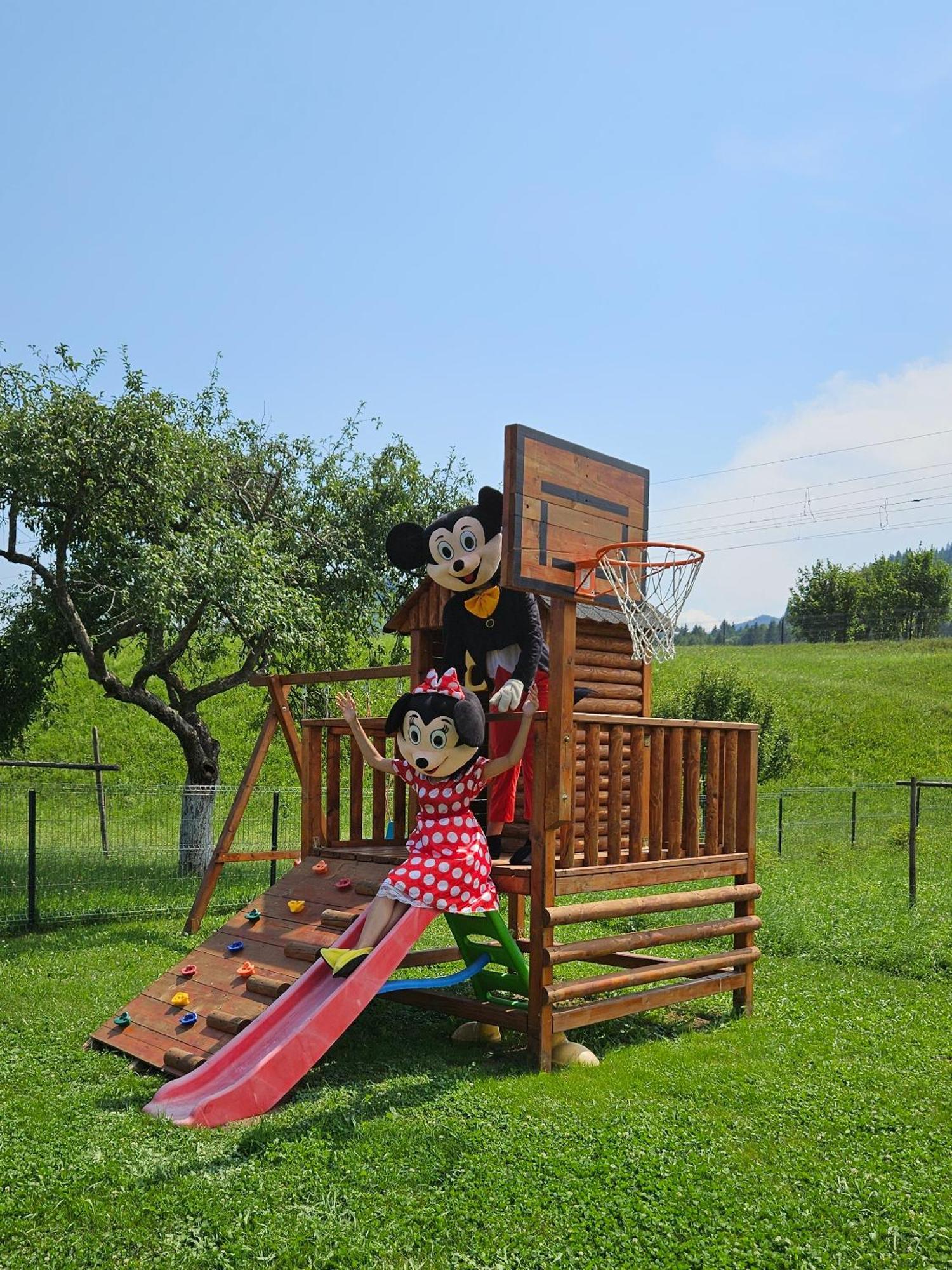 קאמפולונג מולדובנסק Cabana Alesia, Relaxare La Poalele Raraului מראה חיצוני תמונה